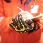 Strategies for Implementing Safety Compliance